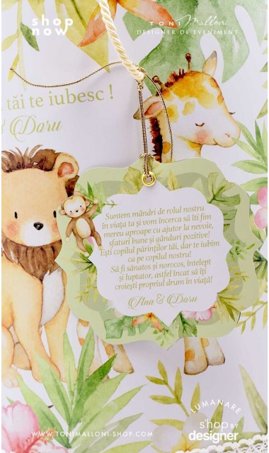 Trusou botez cu leuti elefanti zebre maimutele inspirat din cartea junglei Jungle Friends 9